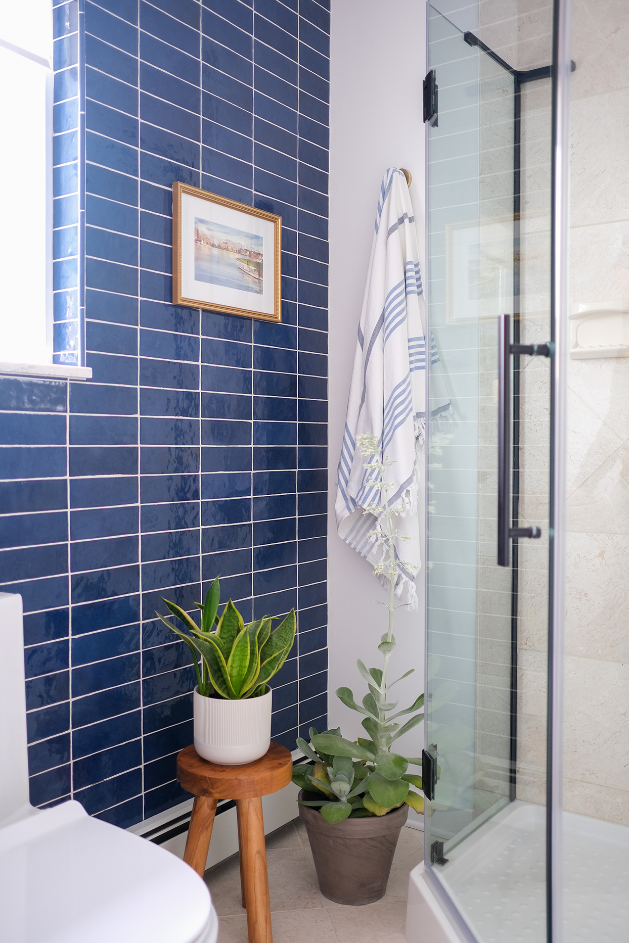 Bold Blue Guest Bathroom Shower